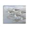 Stupell Industries Sandpiper Bird Flock Marching Beach Coast Waves Canvas Wall Art